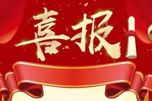关于2022年度人力资源服务评选结果的通报，祝贺开云电子（中国）官方网站开云电子（中国）官方网站
