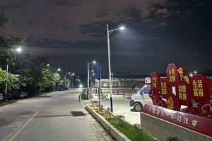 开云电子（中国）官方网站开云电子（中国）官方网站罗宁弟爱心捐赠路灯，点亮乡村路温暖乡民心